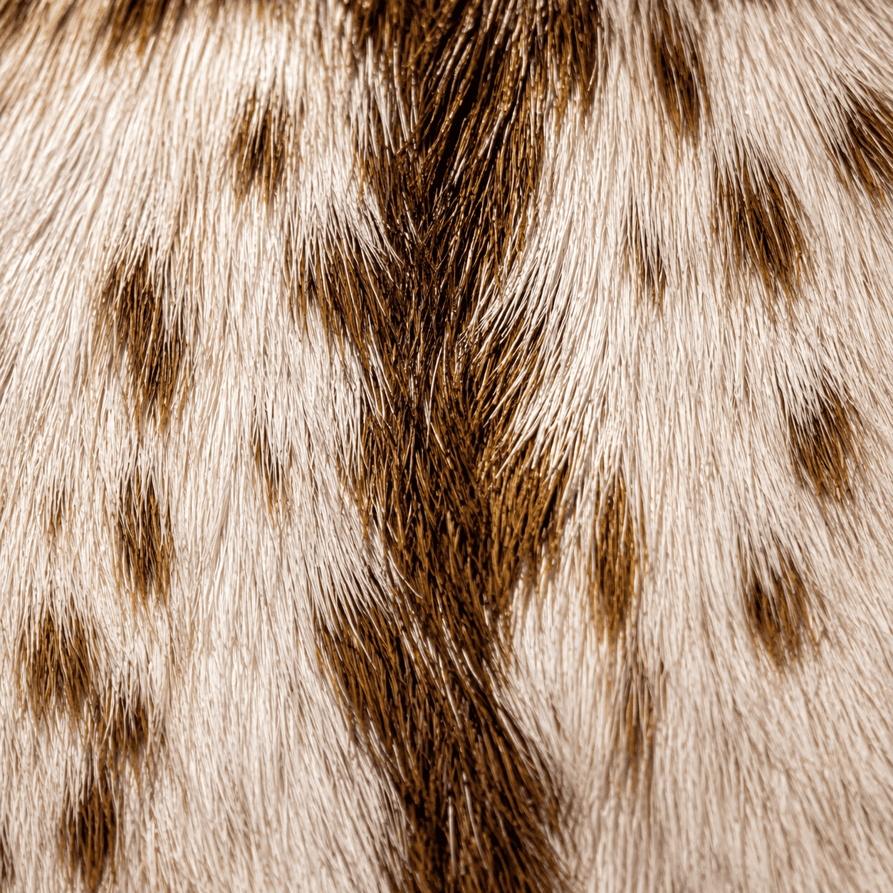 Goatskin Rug GR-130 42x32 INCH