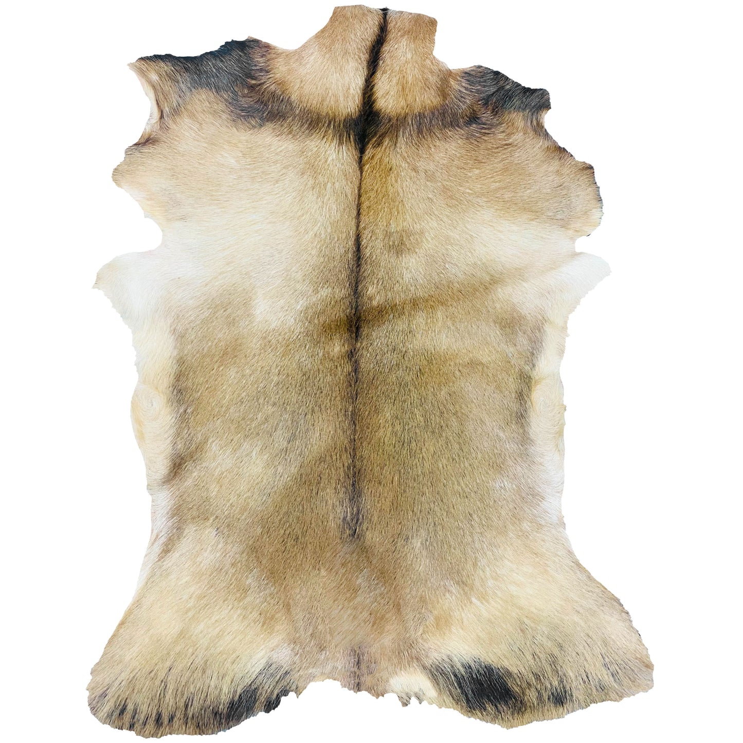Goatskin Rug GR-135 40x29 INCH