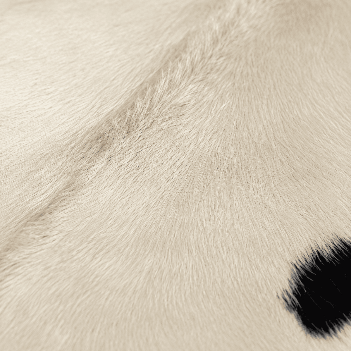 Goatskin Rug GR-138 42x26 INCH