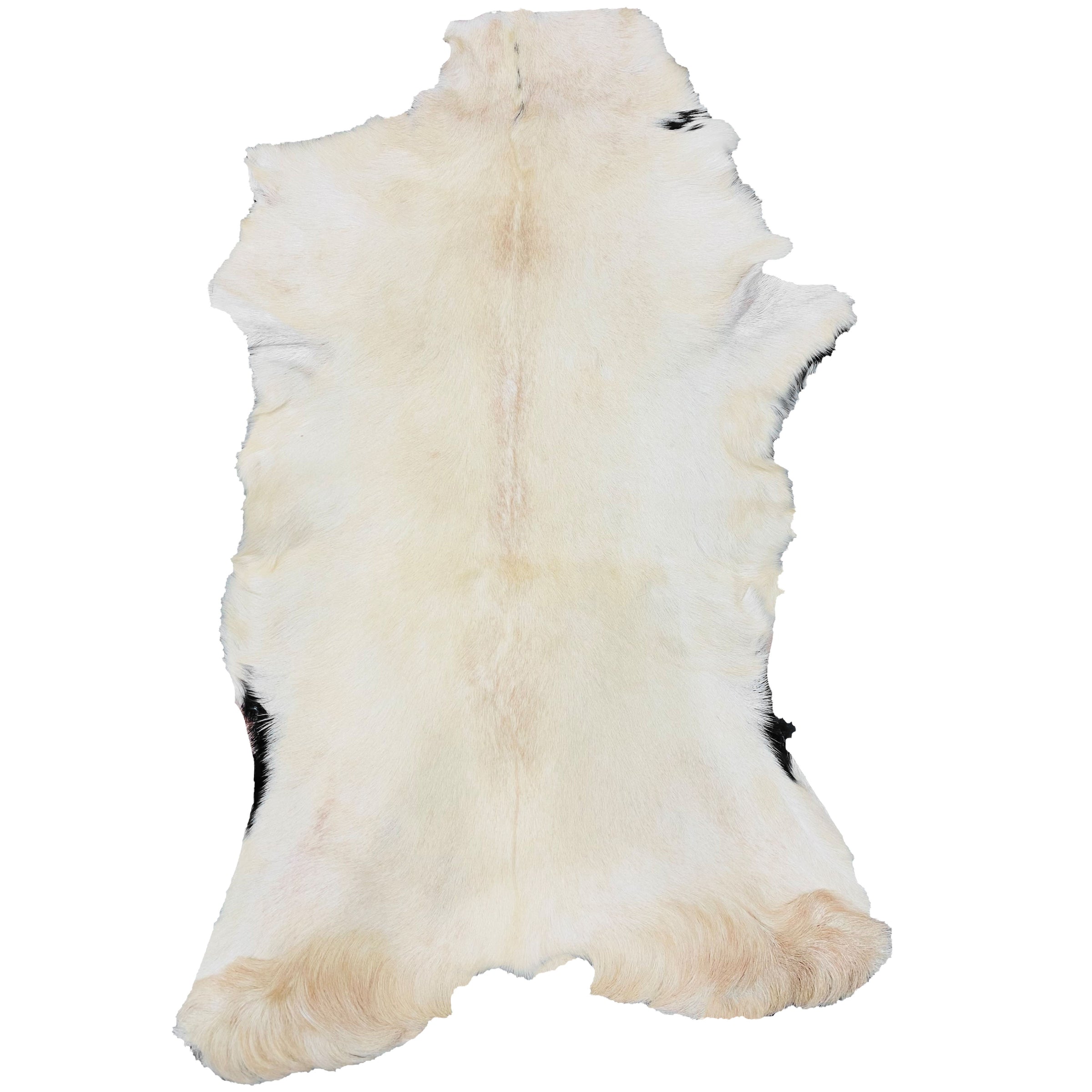 Goatskin Rug GR-138 42x26 INCH