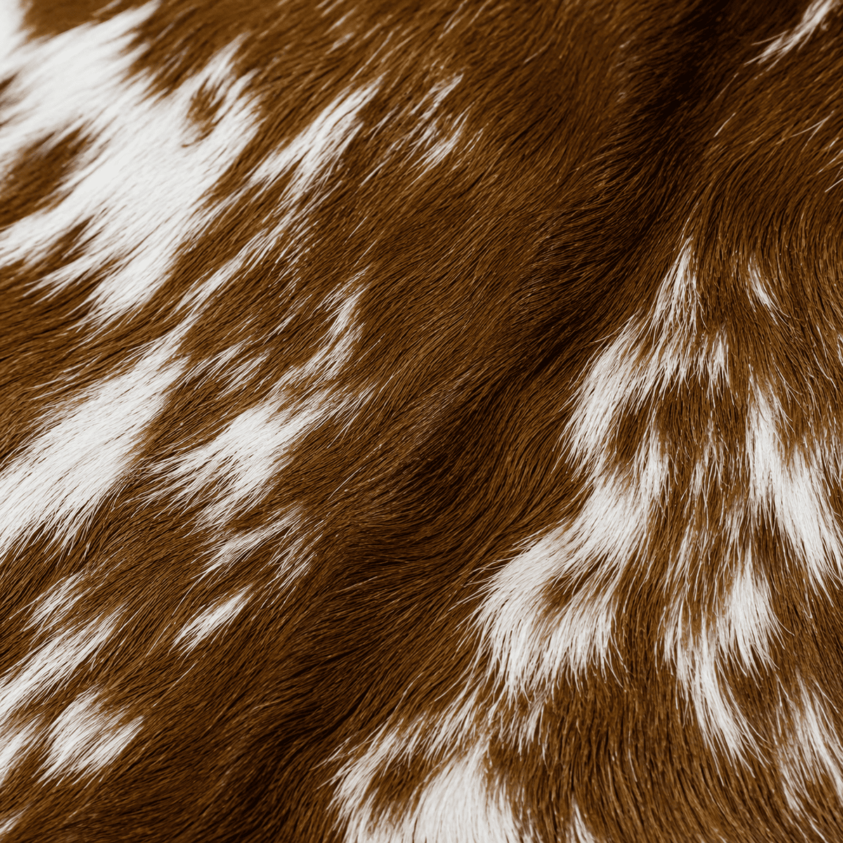 Goatskin Rug GR-139 43x31 INCH