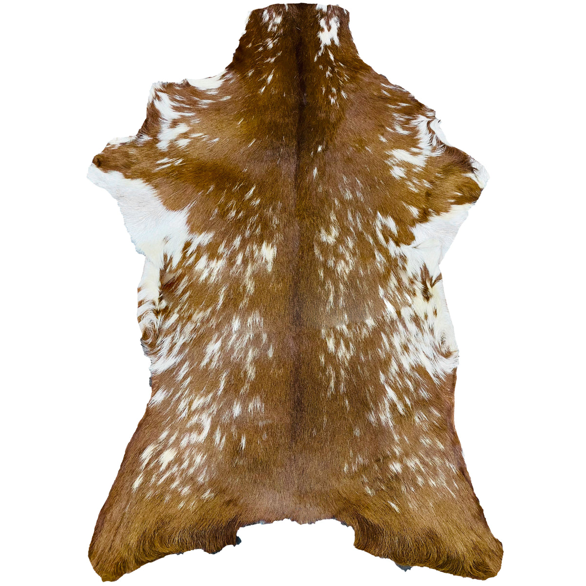 Goatskin Rug GR-139 43x31 INCH
