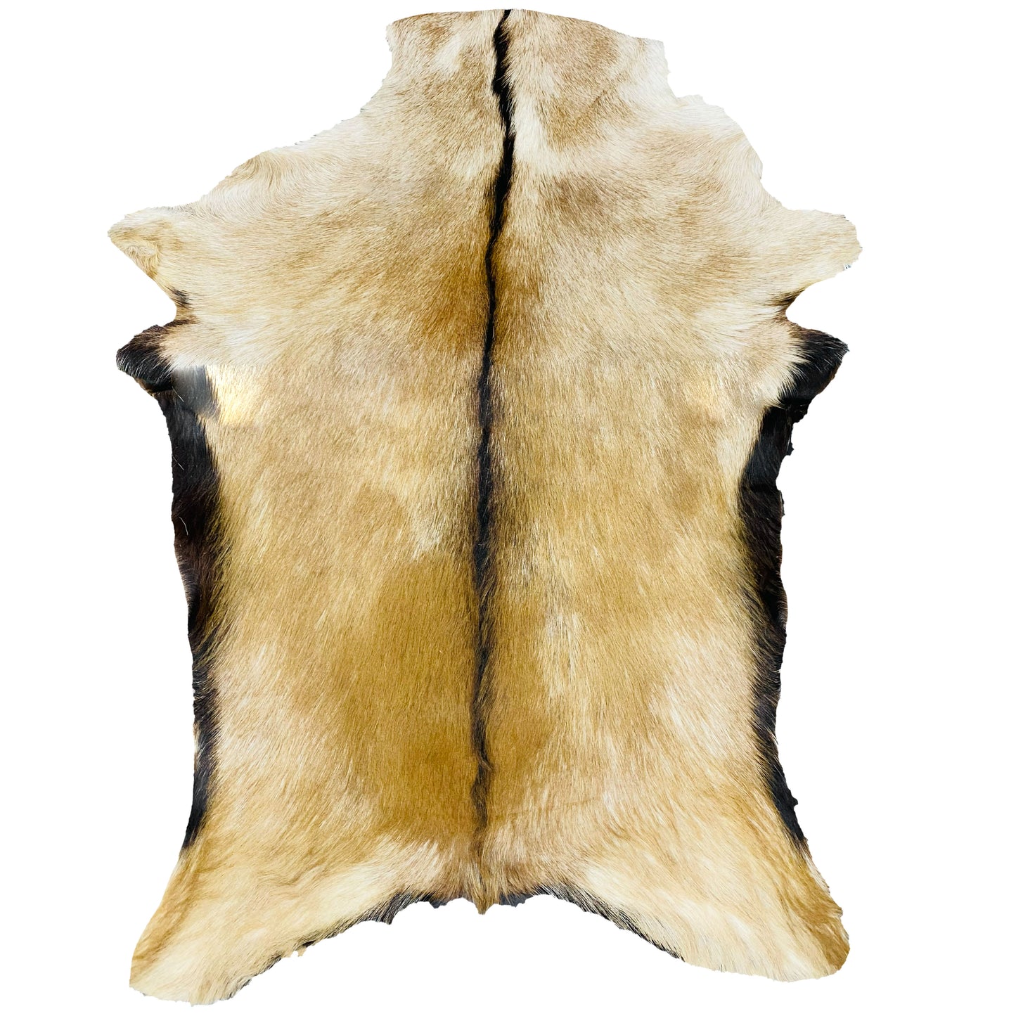 Goatskin Rug GR-141 34x26 INCH