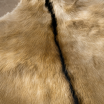 Goatskin Rug GR-141 34x26 INCH