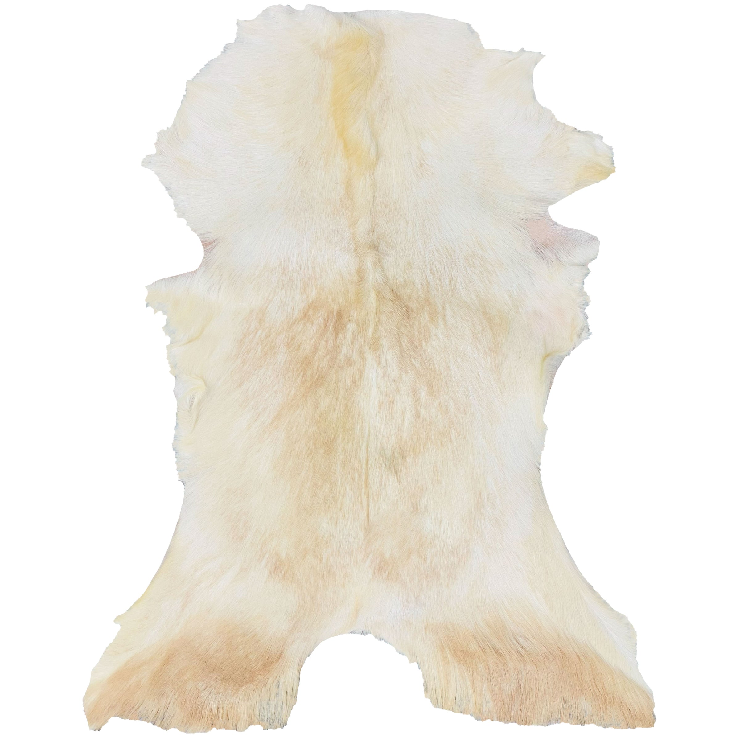 Goatskin Rug GR-142 37x25 INCH