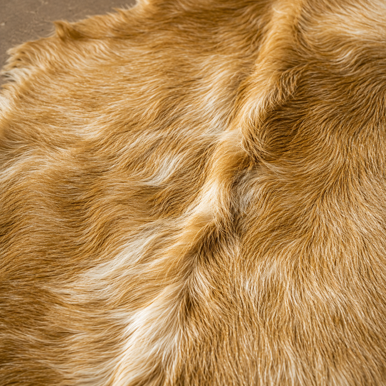 Goatskin Rug GR-143 37x27 INCH