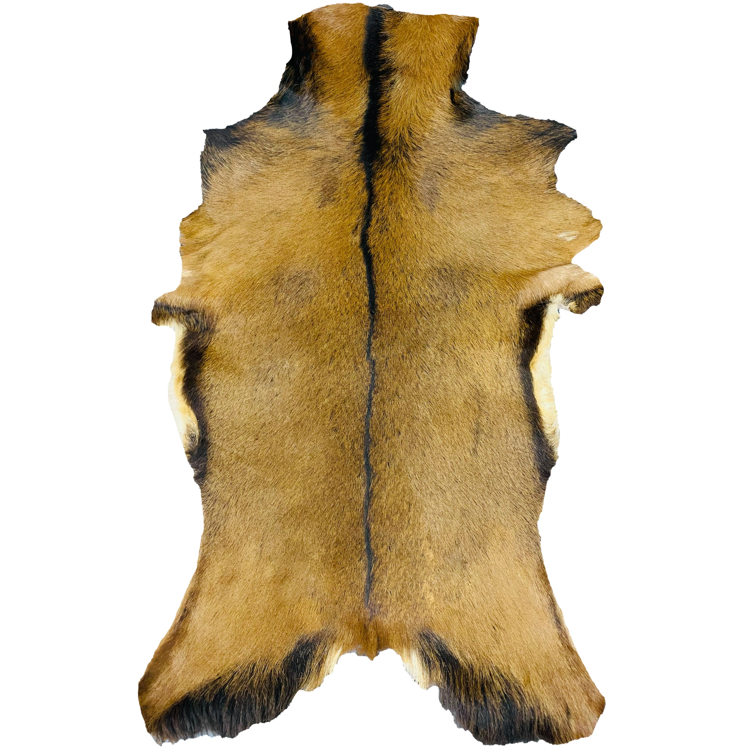 Goatskin Rug GR-145 44x27 INCH