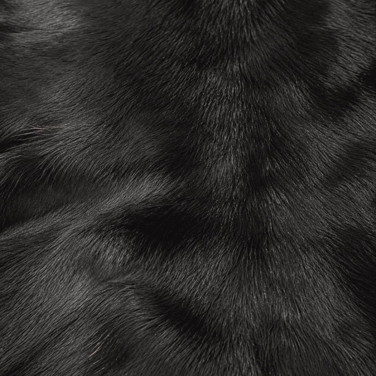 Goatskin Rug GR-148 41x27 INCH
