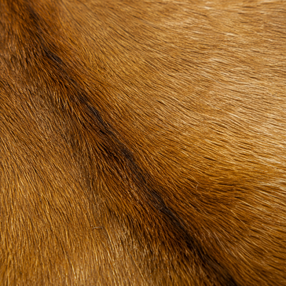 Goatskin Rug GR-152 42x28 INCH