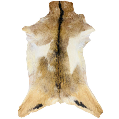 Goatskin Rug GR-154 36x27 INCH