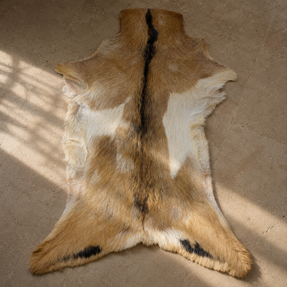 Goatskin Rug GR-154 36x27 INCH