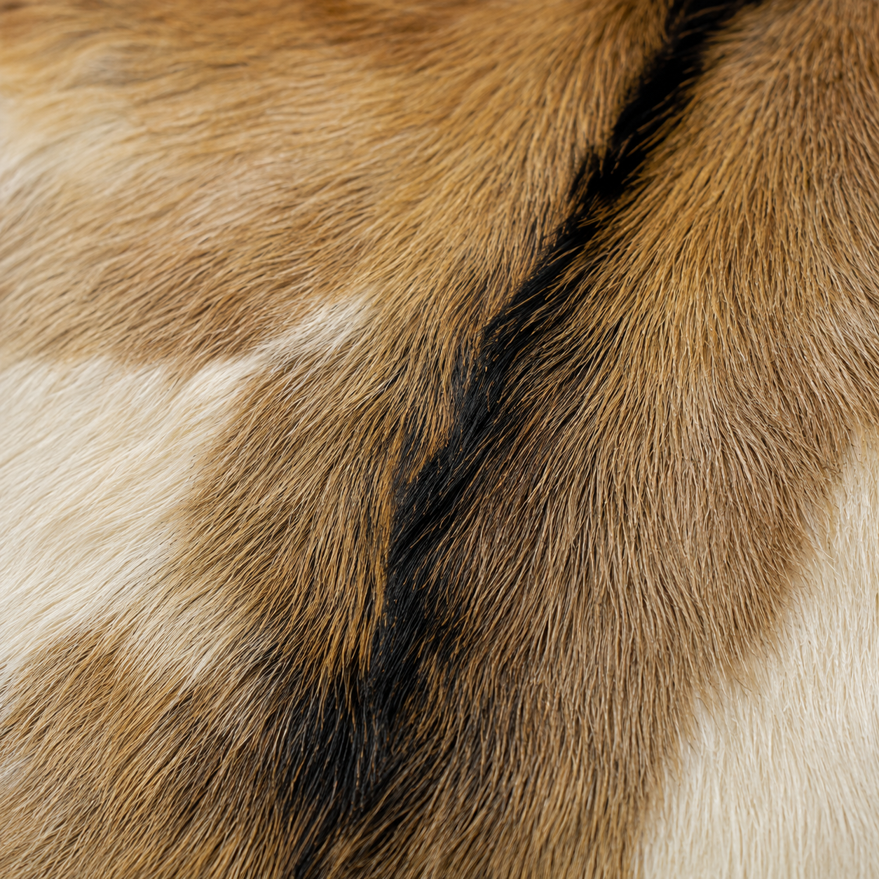 Goatskin Rug GR-154 36x27 INCH