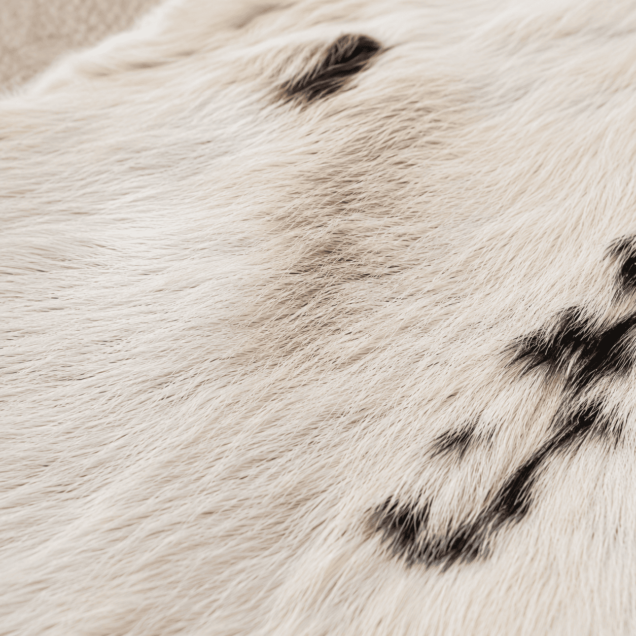Goatskin Rug GR-158 39x28 INCH
