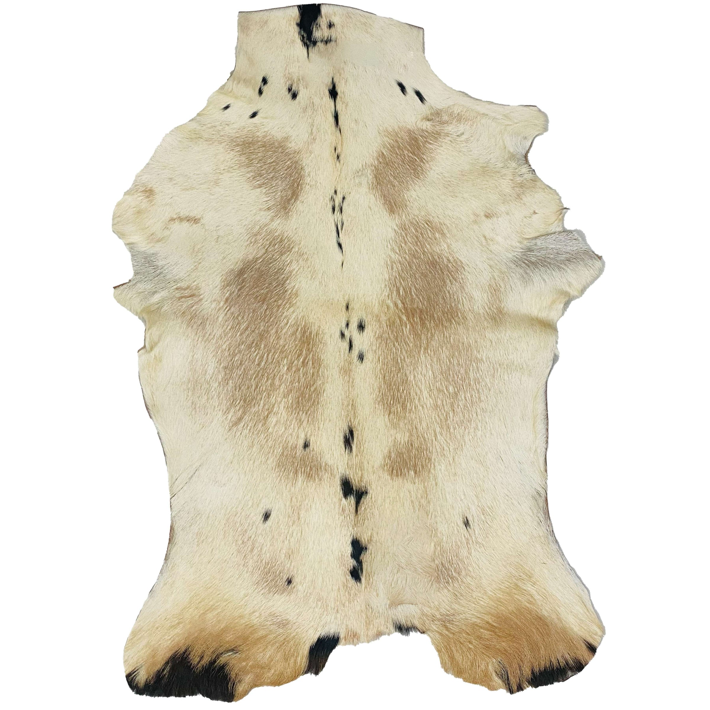 Goatskin Rug GR-166 37x27 INCH