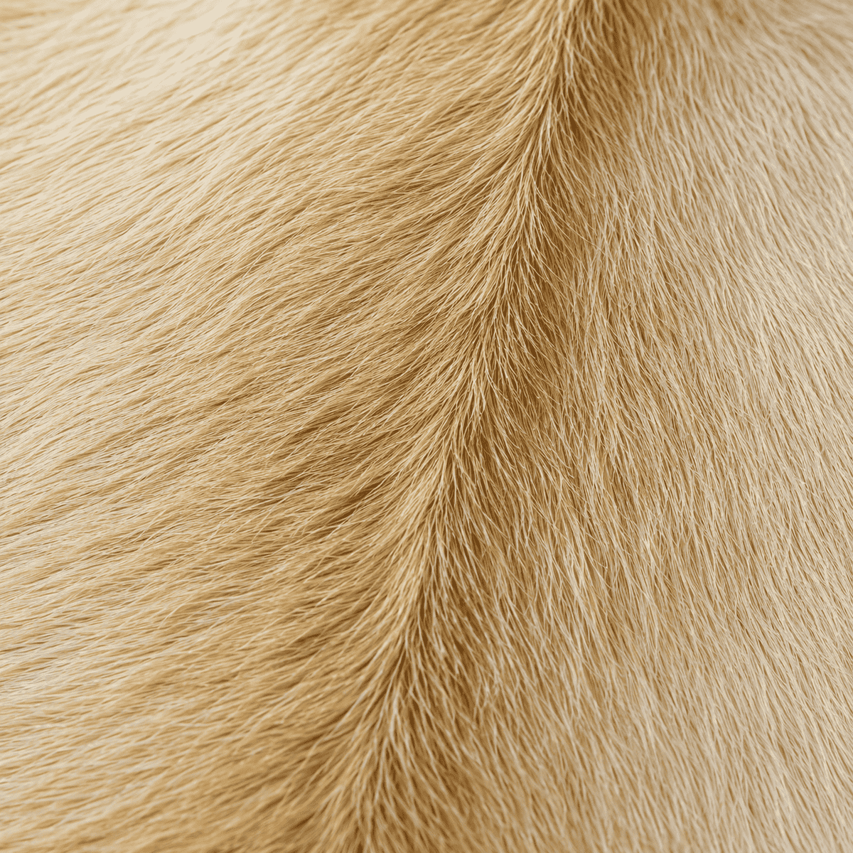 Goatskin Rug GR-167 36x24 INCH