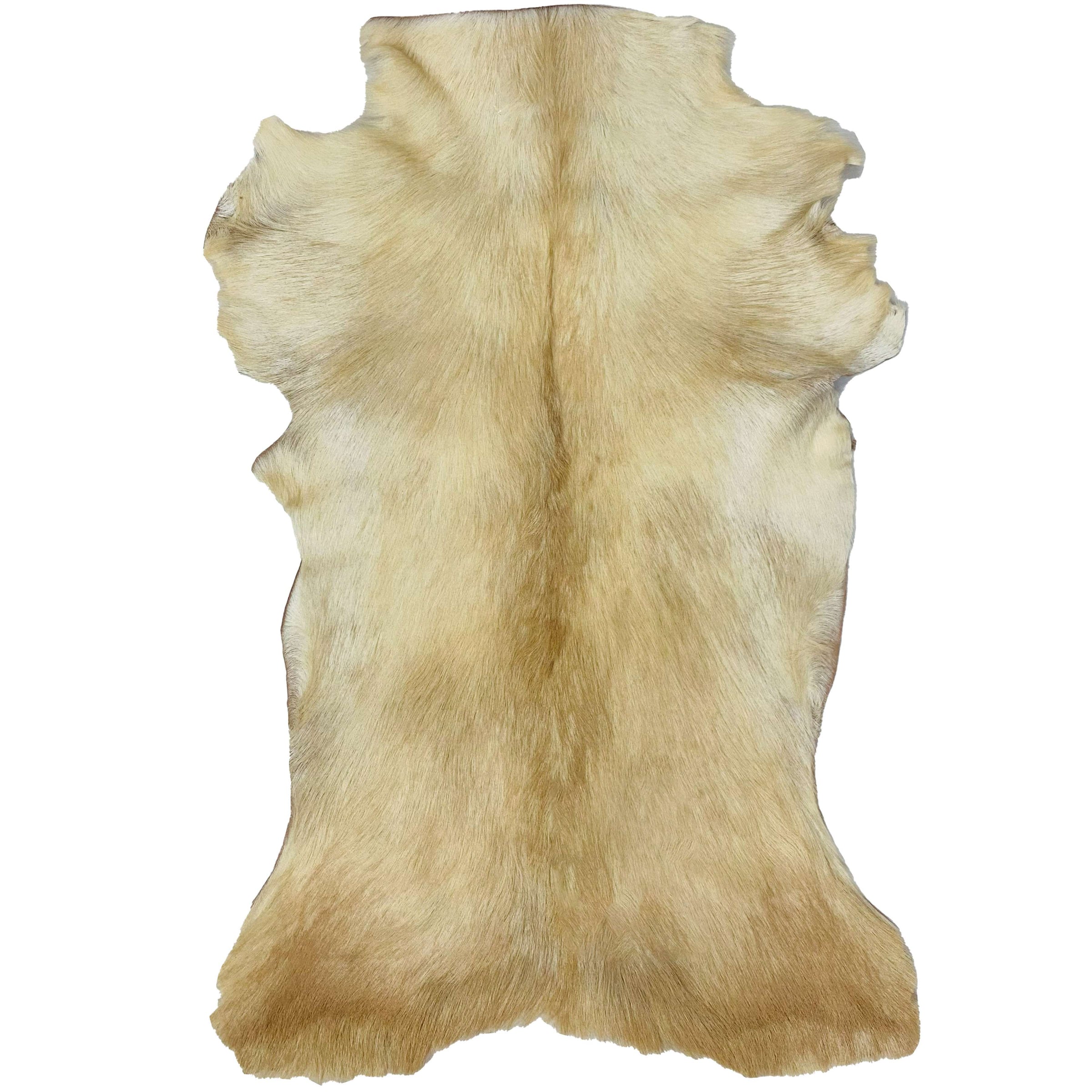 Goatskin Rug GR-167 36x24 INCH
