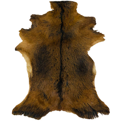 Goatskin Rug GR-168 36x28 INCH