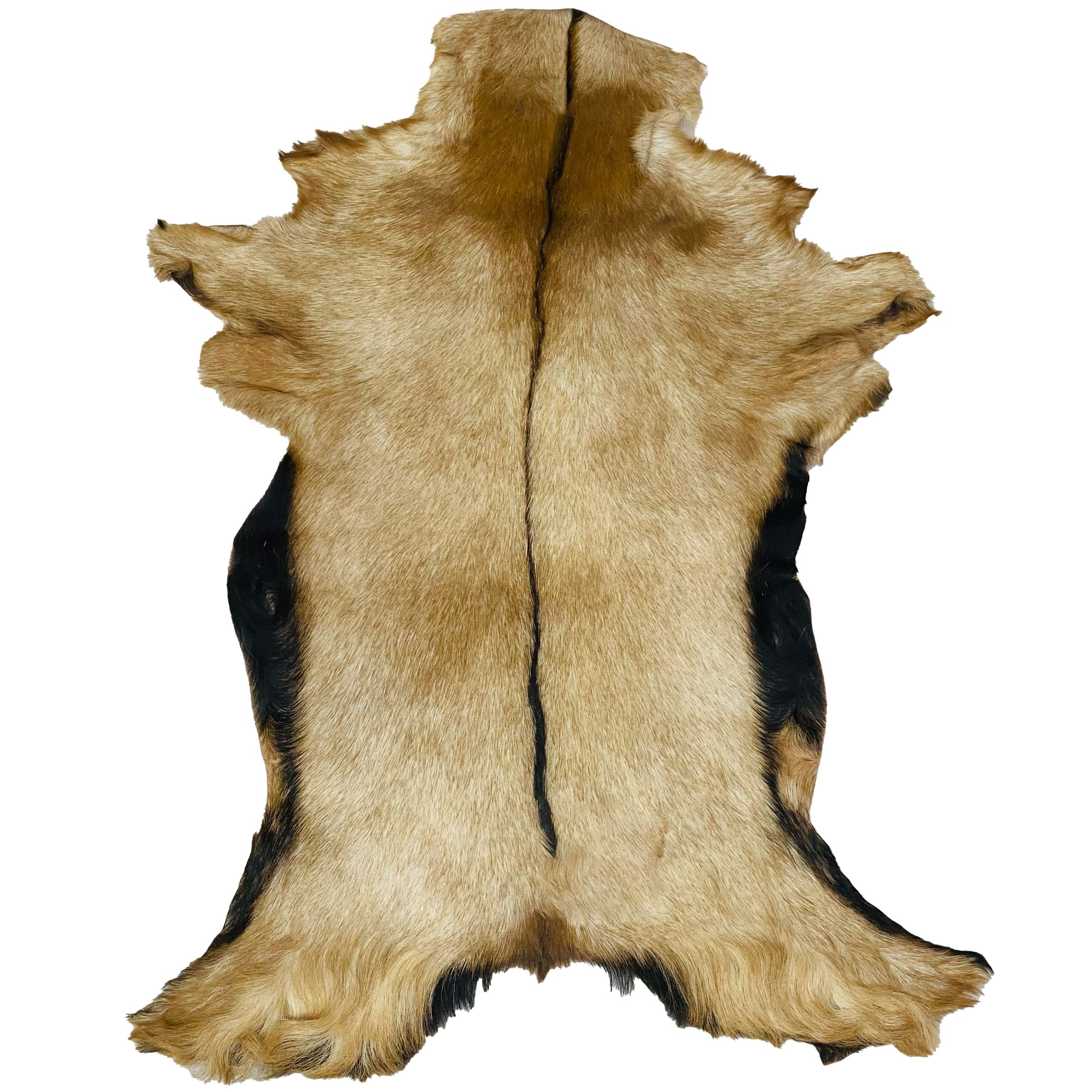 Goatskin Rug GR-170 40x30 INCH