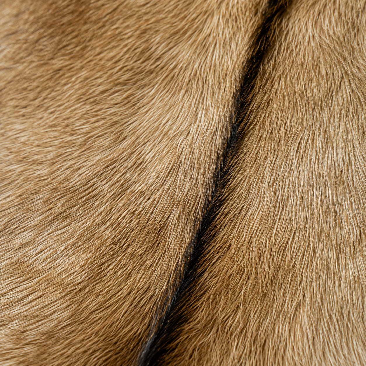 Goatskin Rug GR-170 40x30 INCH