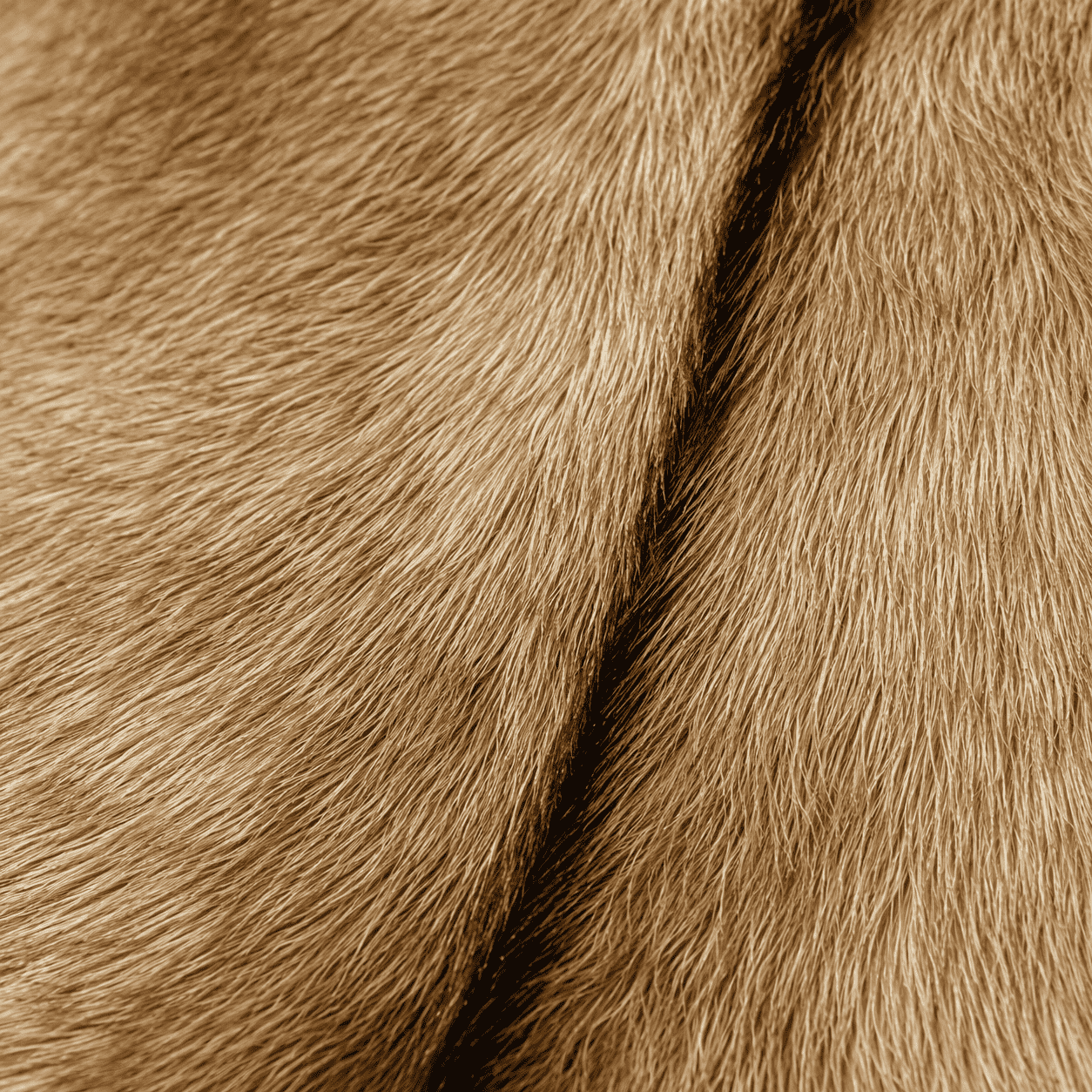 Goatskin Rug GR-170 40x30 INCH