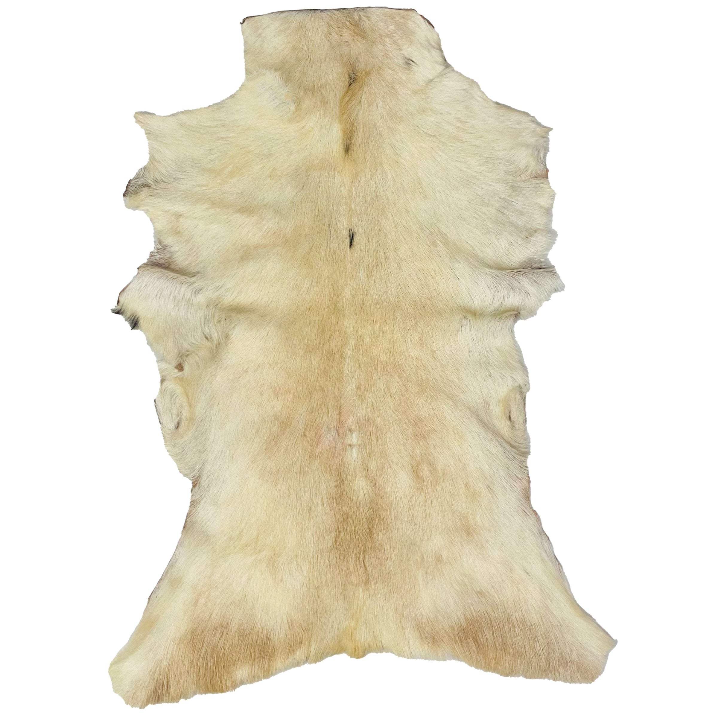 Goatskin Rug GR-176 43x28 INCH