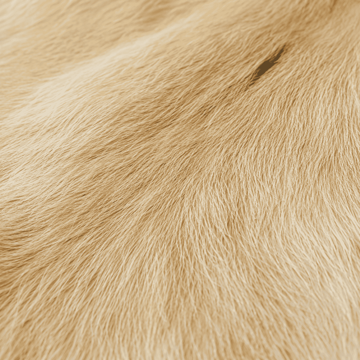 Goatskin Rug GR-176 43x28 INCH