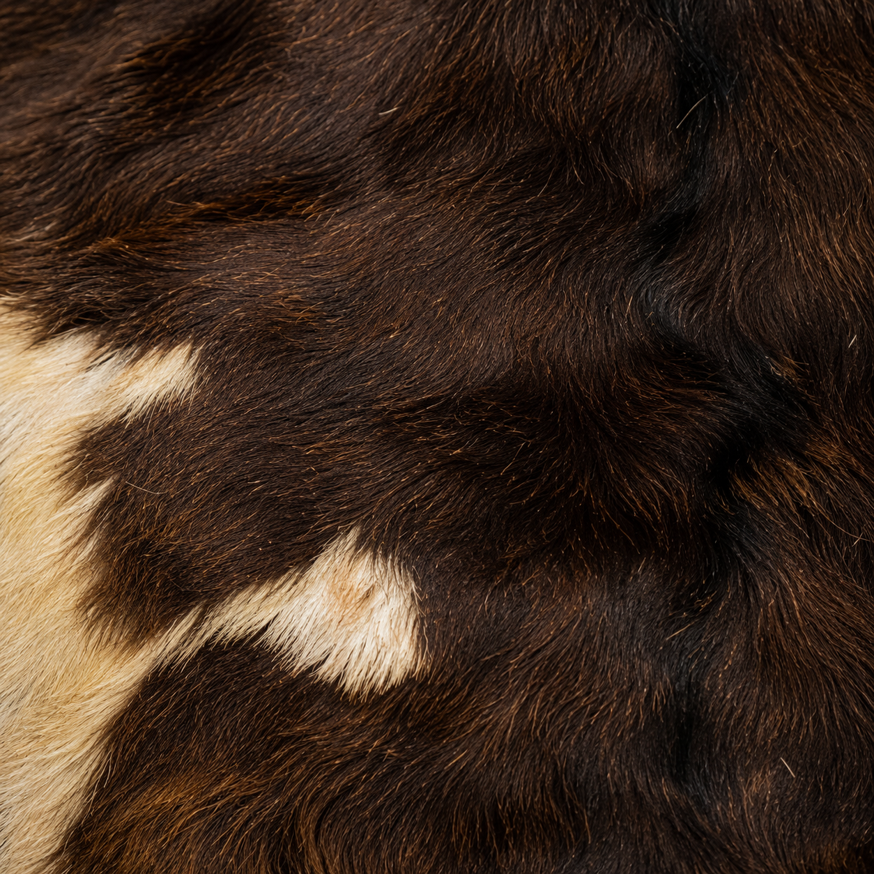 Goatskin Rug GR-179 41x25 INCH