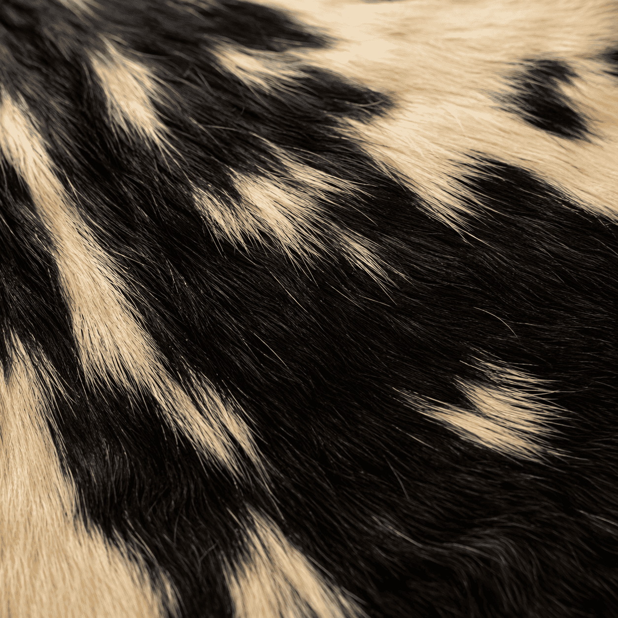 Goatskin Rug GR-180 38x27 INCH