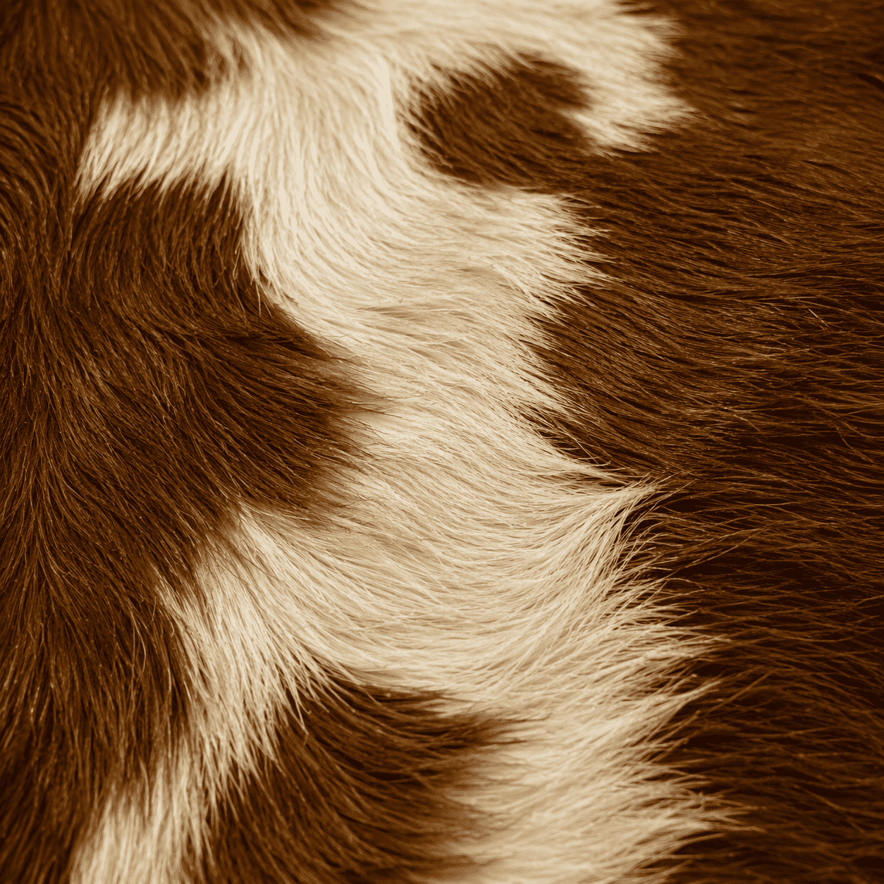 Goatskin Rug GR-181 36x26 INCH