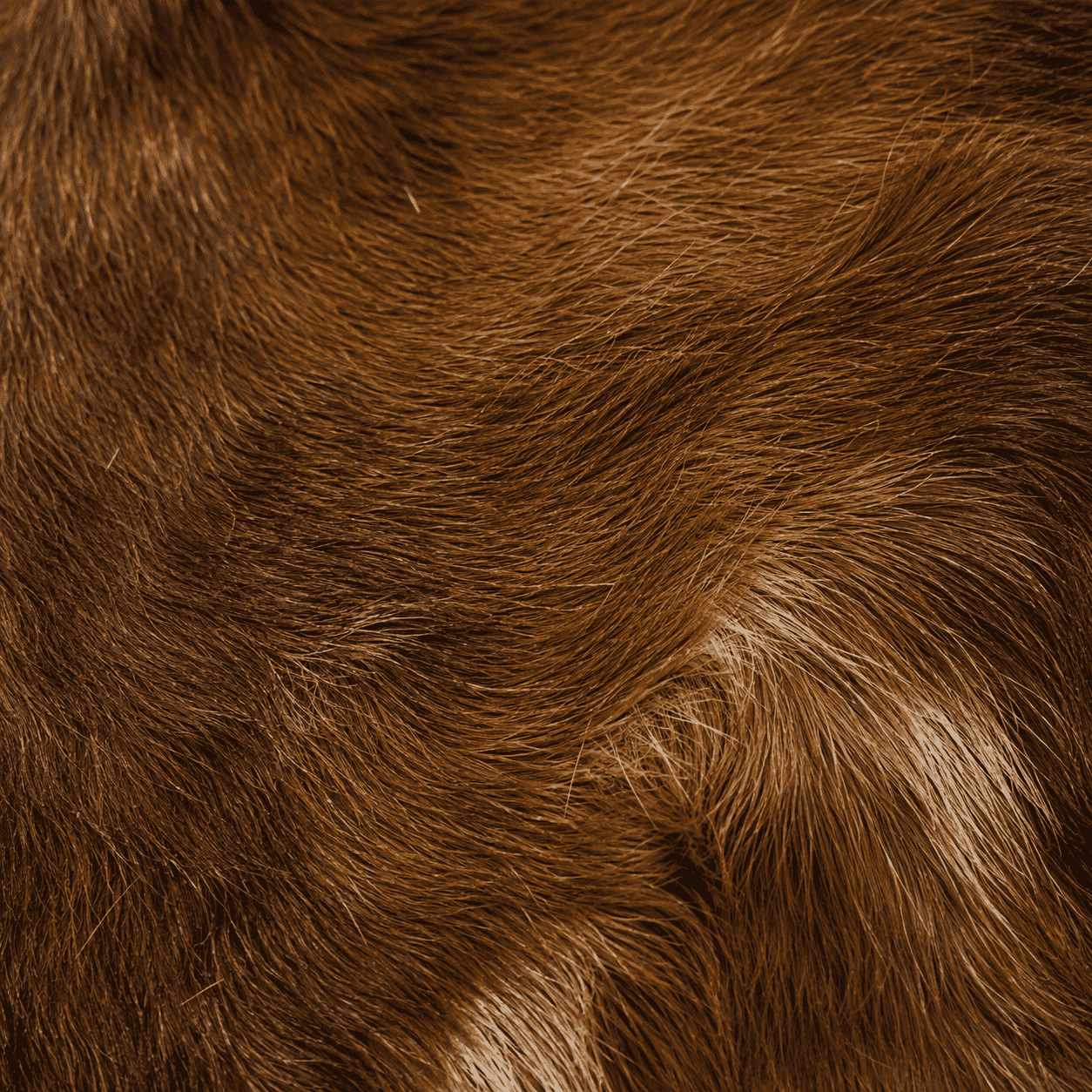 Goatskin Rug GR-183 45x27 INCH