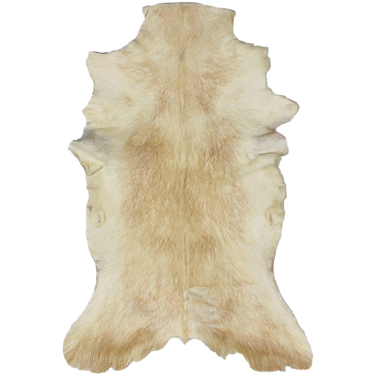 Goatskin Rug GR-186 42x26 INCH