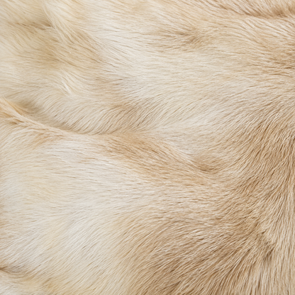 Goatskin Rug GR-186 42x26 INCH