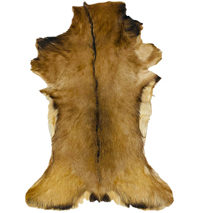 Goatskin Rug GR-190 45x29 INCH