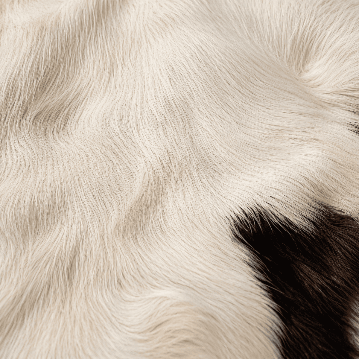 Goatskin Rug GR-150 40x26 INCH