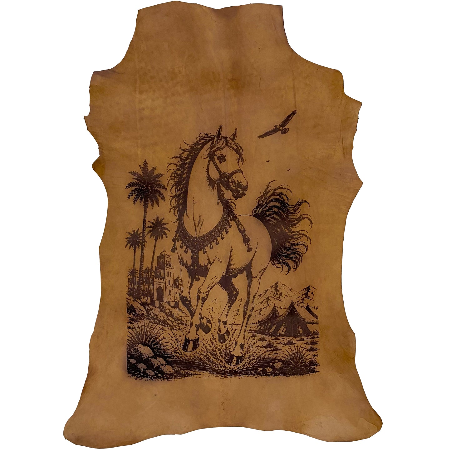 The Desert Stallion LA-119 35x25 INCH