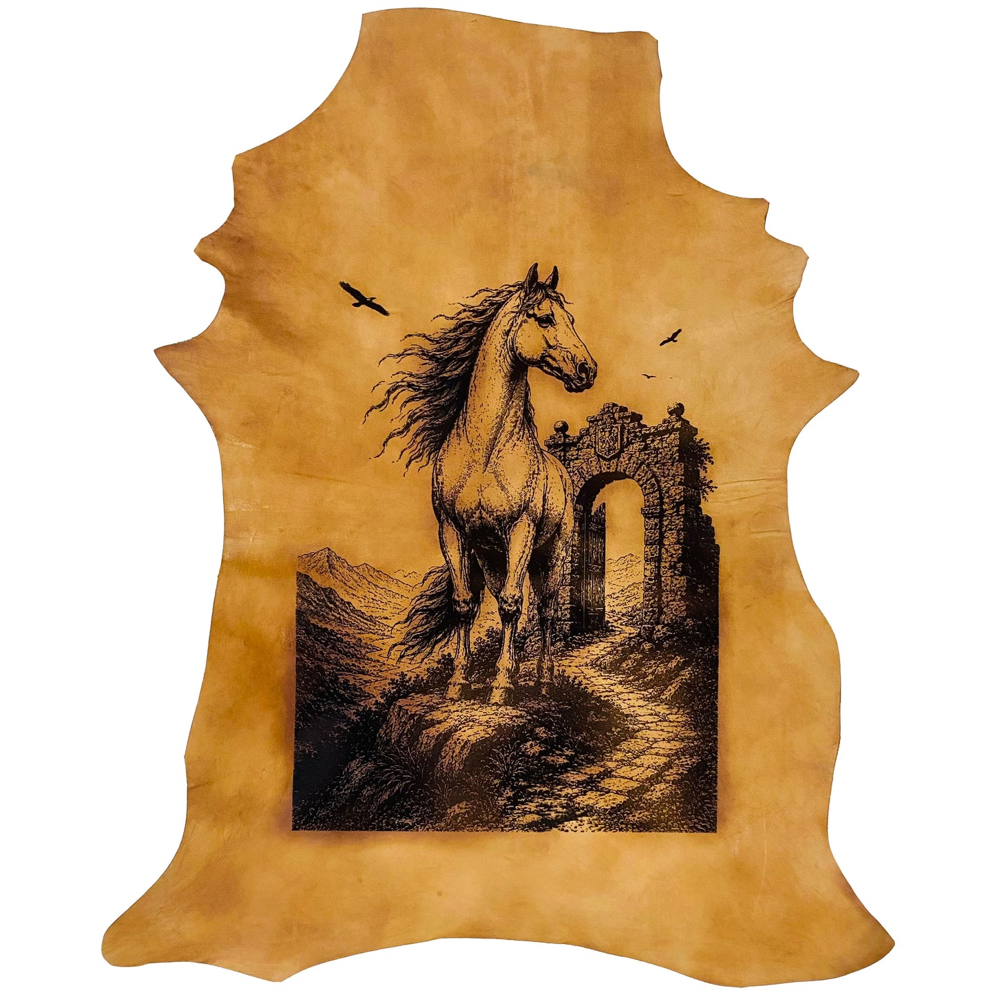 The Noble Stallion LA-166 33x28 INCH
