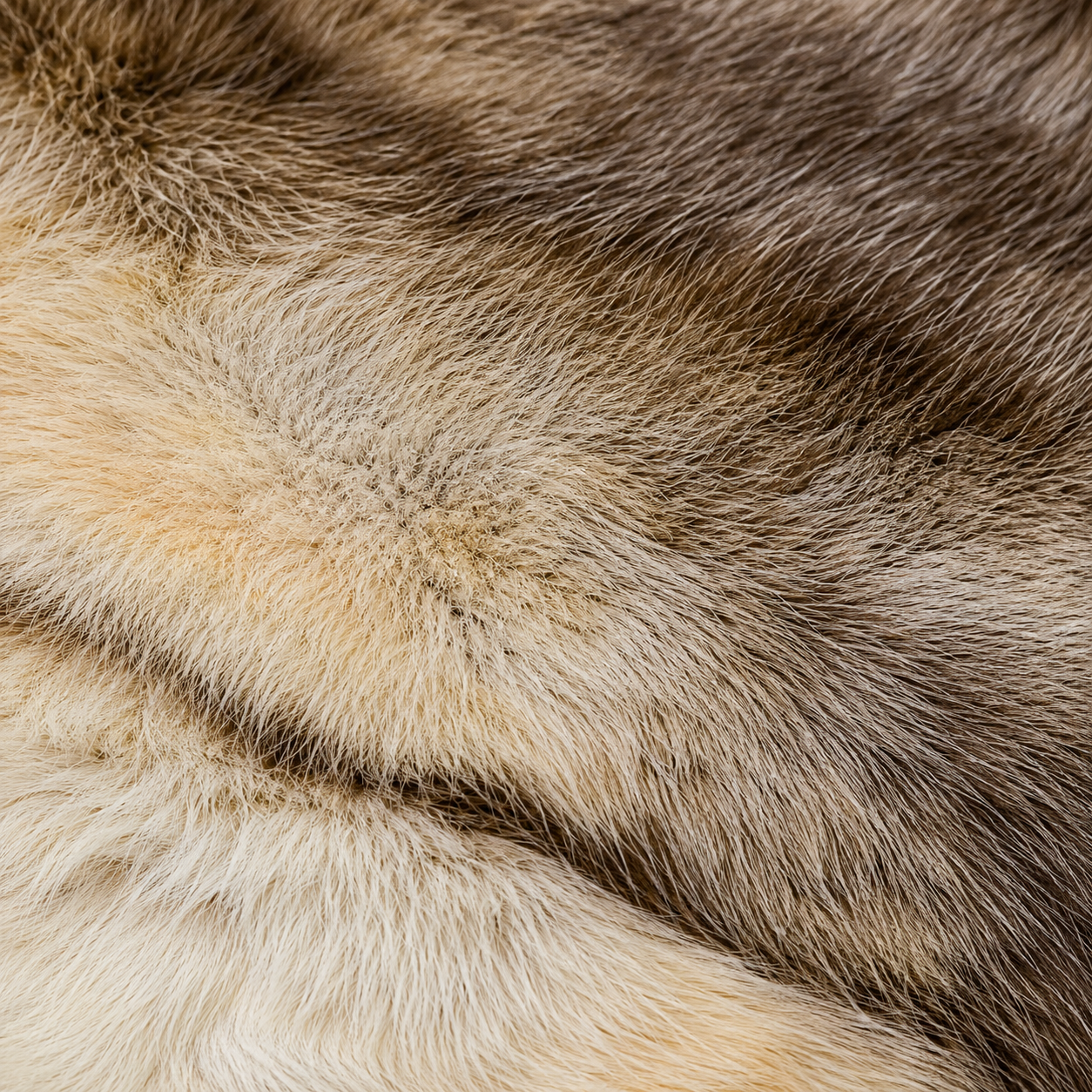 Reindeer Hide Rug RR-101 46x41 INCH