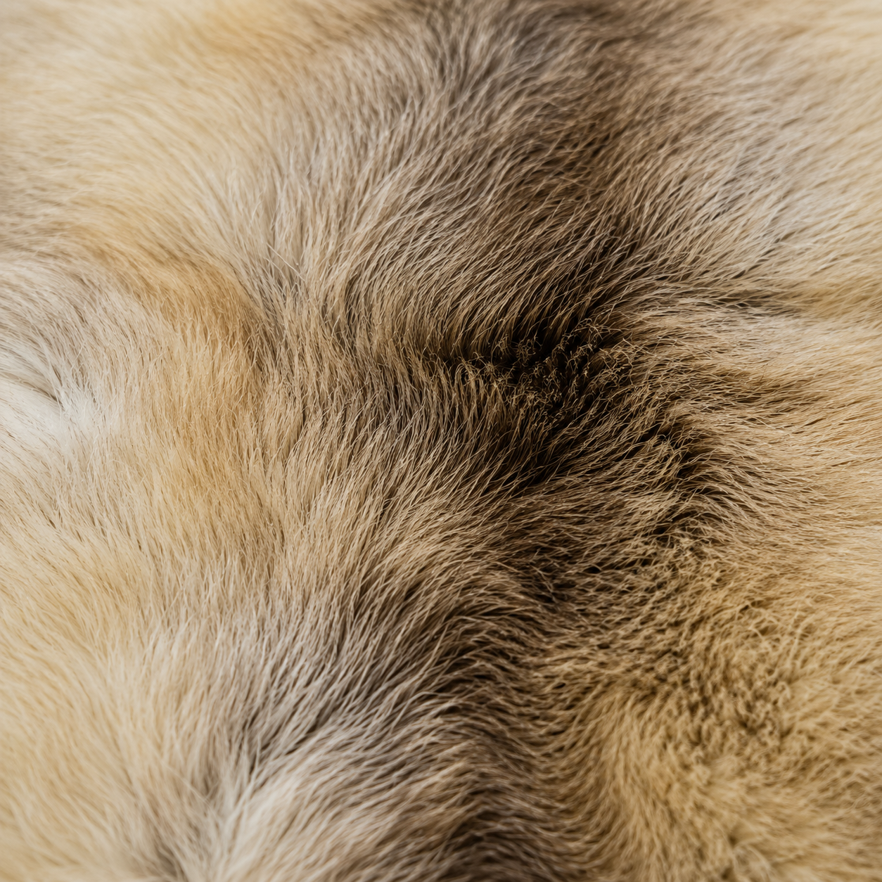 Reindeer Hide Rug RR-104 49x41 INCH