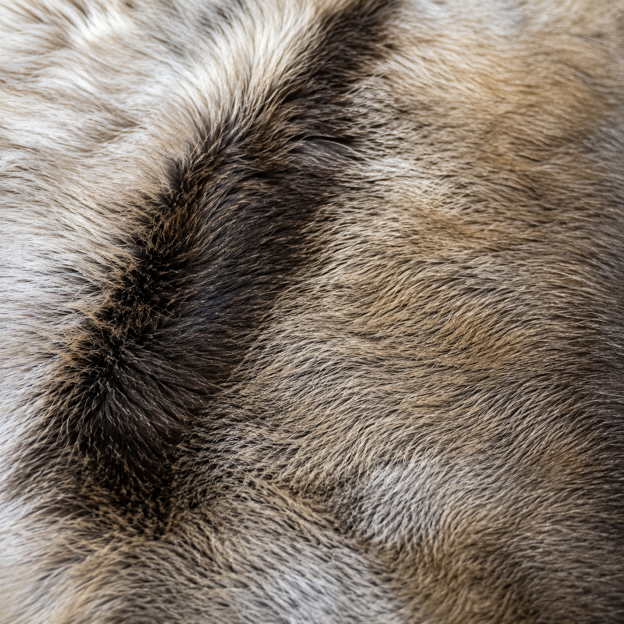 Reindeer Hide Rug RR-107 40X43 INCH