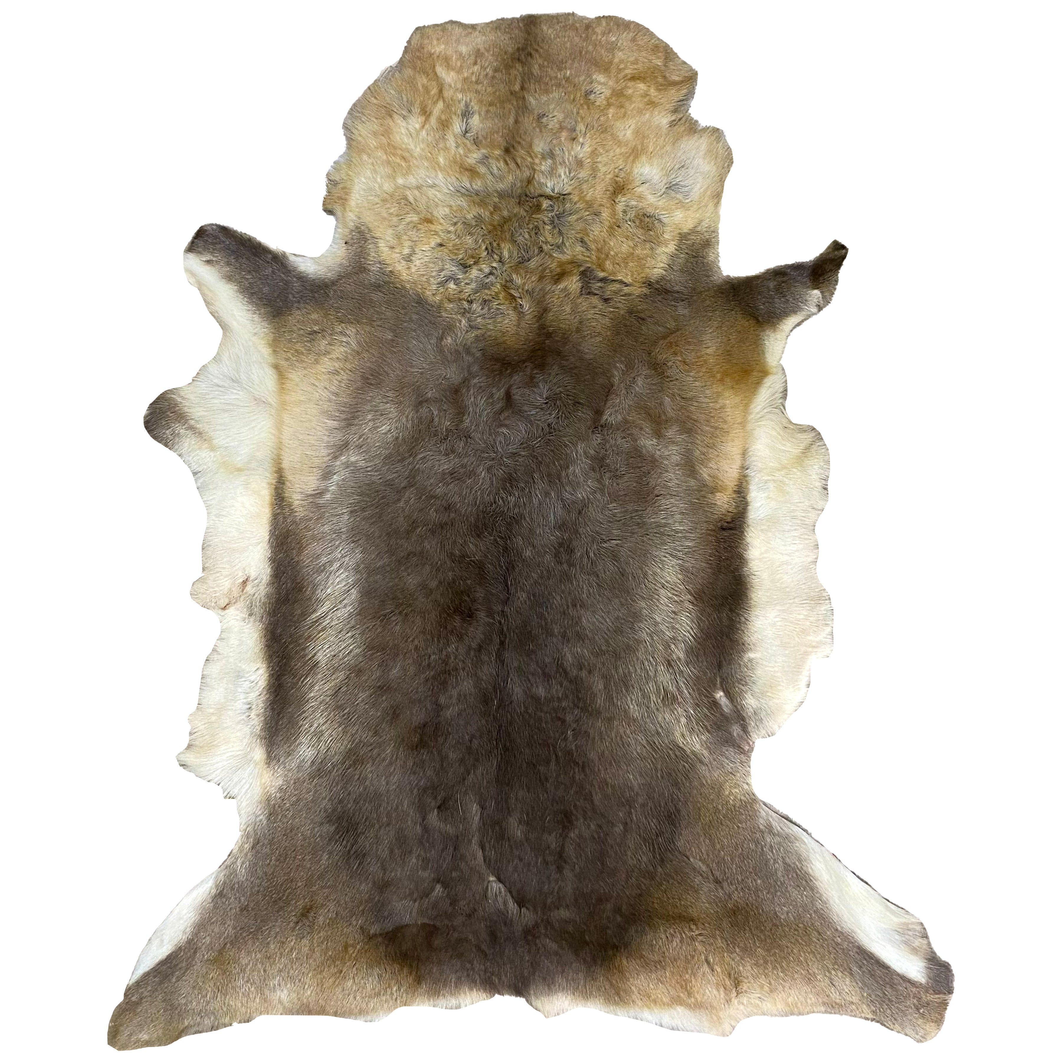 Reindeer Hide Rug RR-110 53x42 INCH