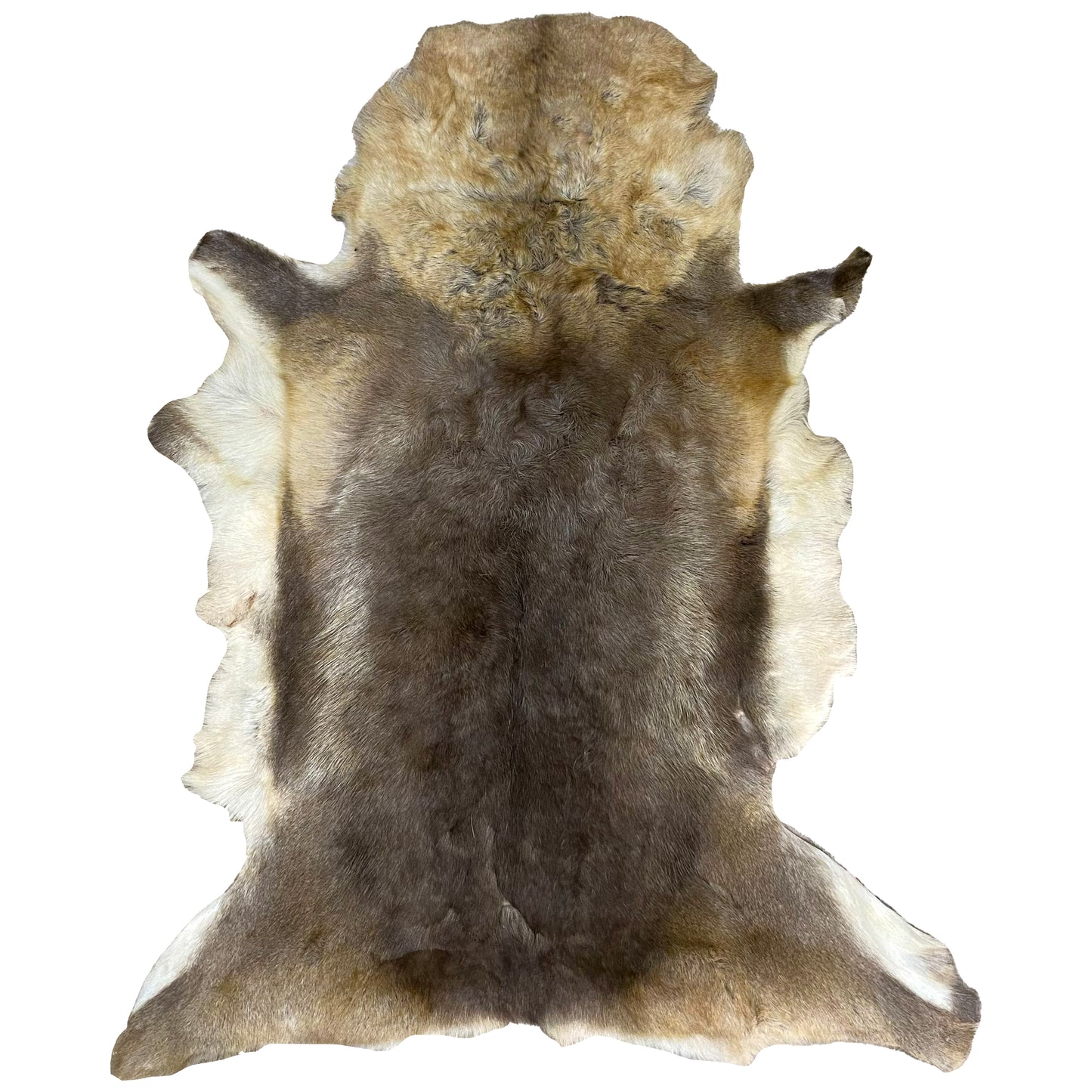 Reindeer Hide Rug RR-110 53x42 INCH