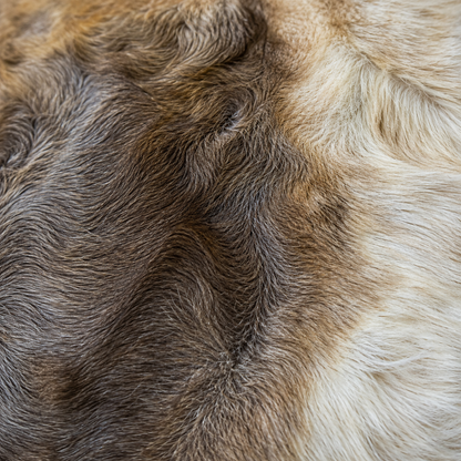Reindeer Hide Rug RR-110 53x42 INCH