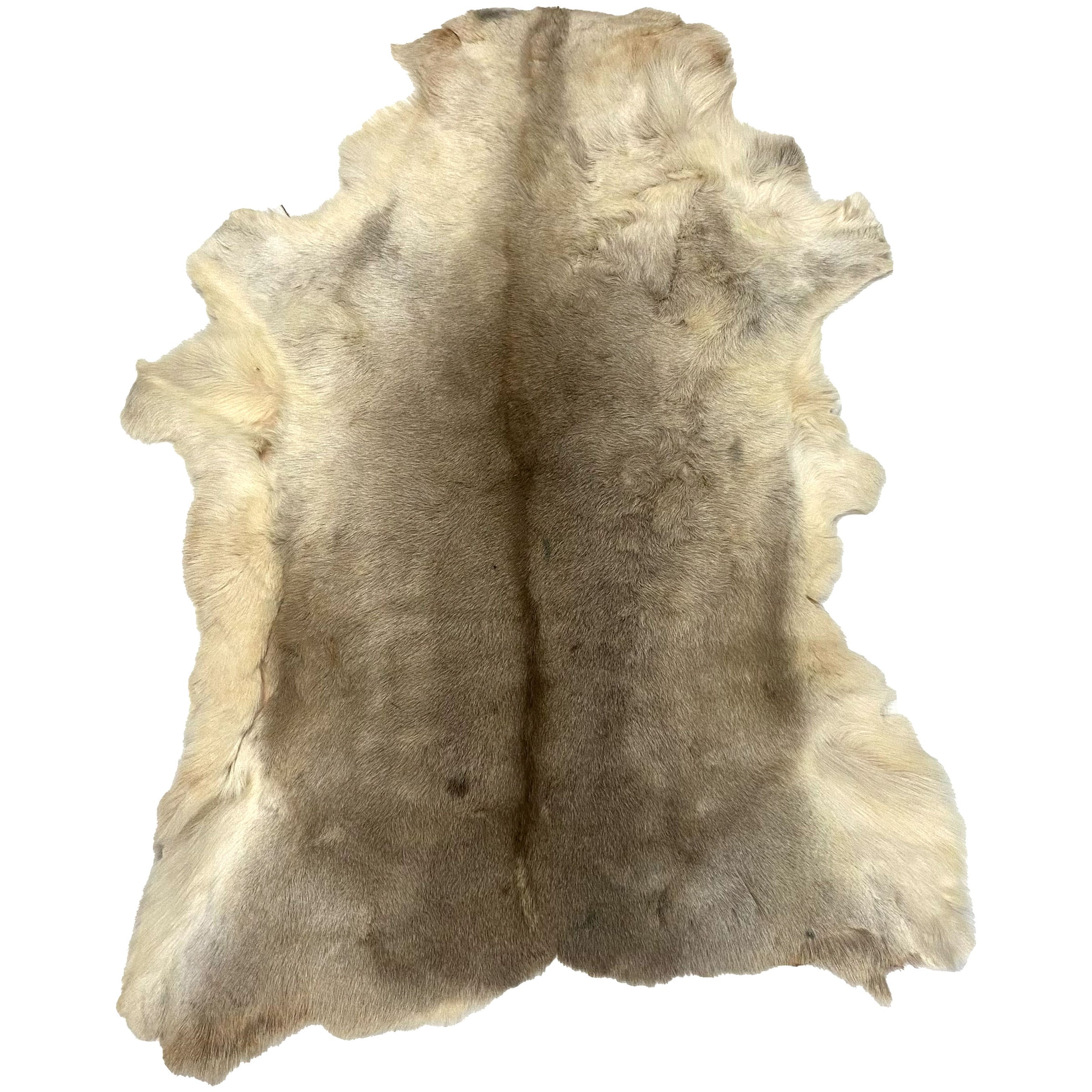 Reindeer Hide Rug RR-112 54x43 INCH