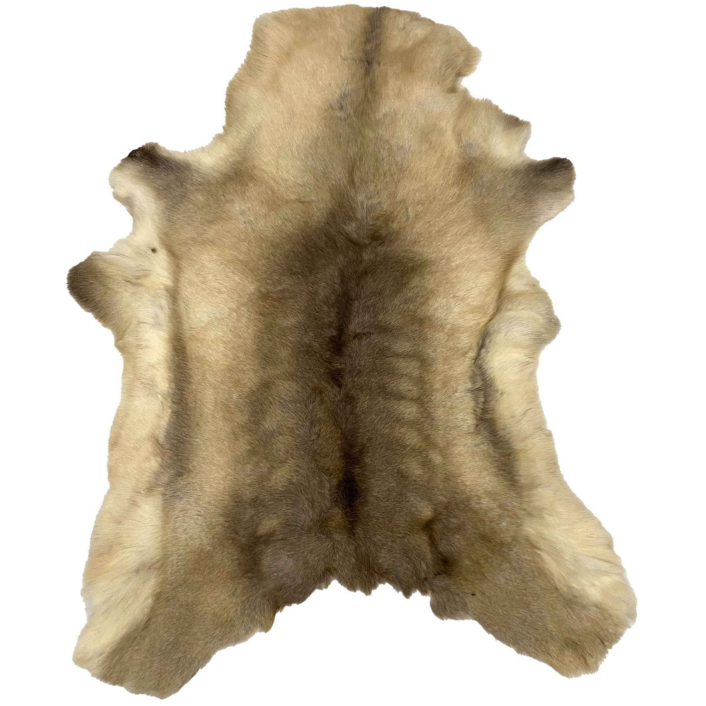 Reindeer Hide Rug RR-114 50x37 INCH