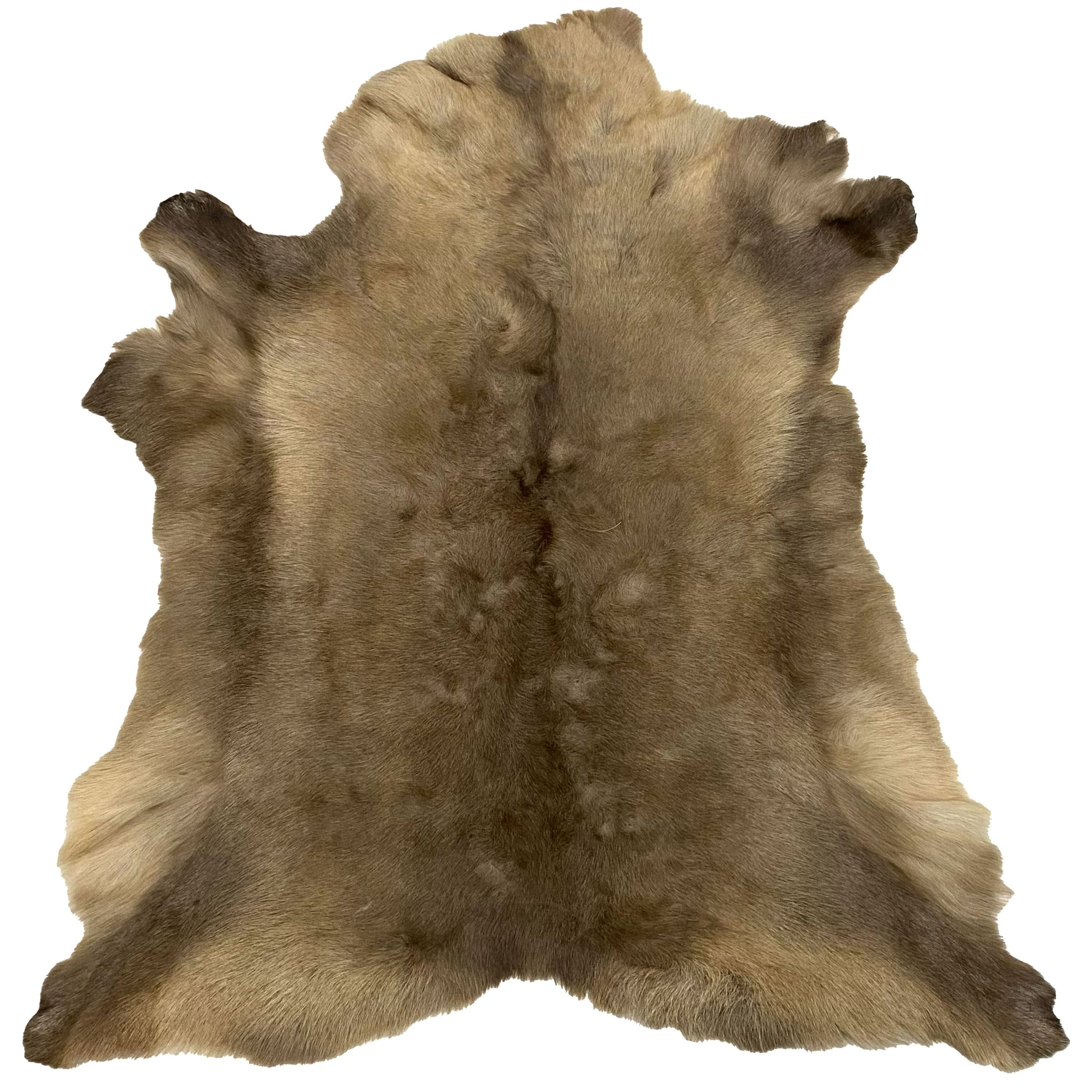 Reindeer Hide Rug RR-116 50x43 INCH