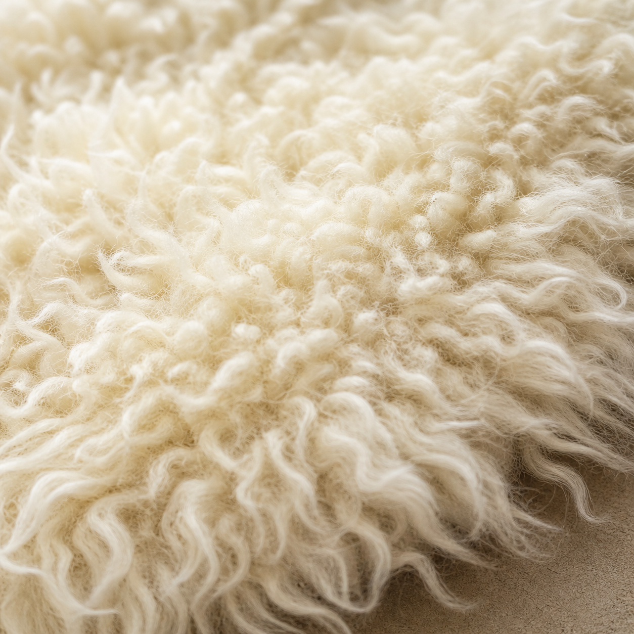 SHEEP SKIN RUG SR-101 35x23 INCH