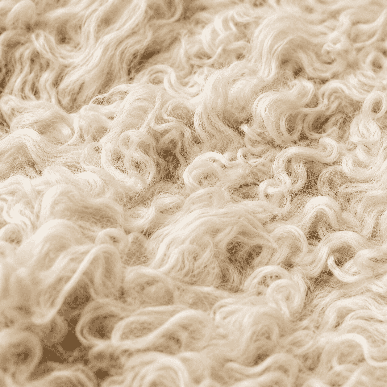 SHEEP SKIN RUG SR-110 41x28 INCH