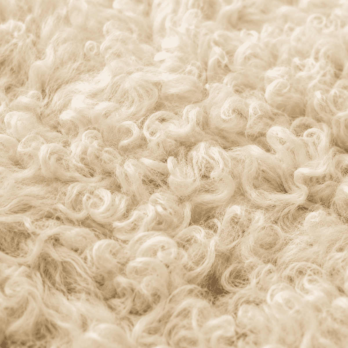 SHEEP SKIN RUG SR-111 35x26 INCH