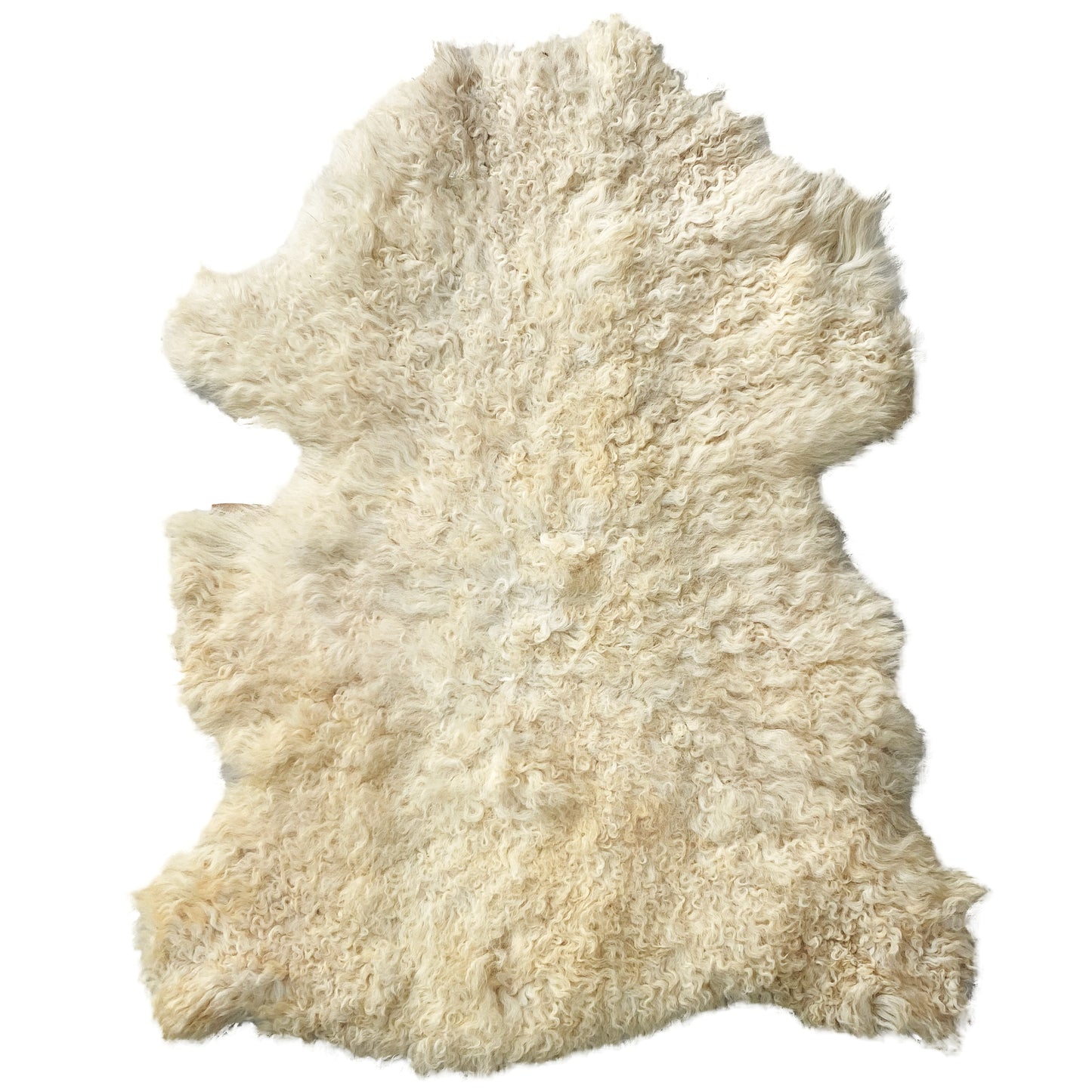 SHEEP SKIN RUG SR-114 32x26 INCH