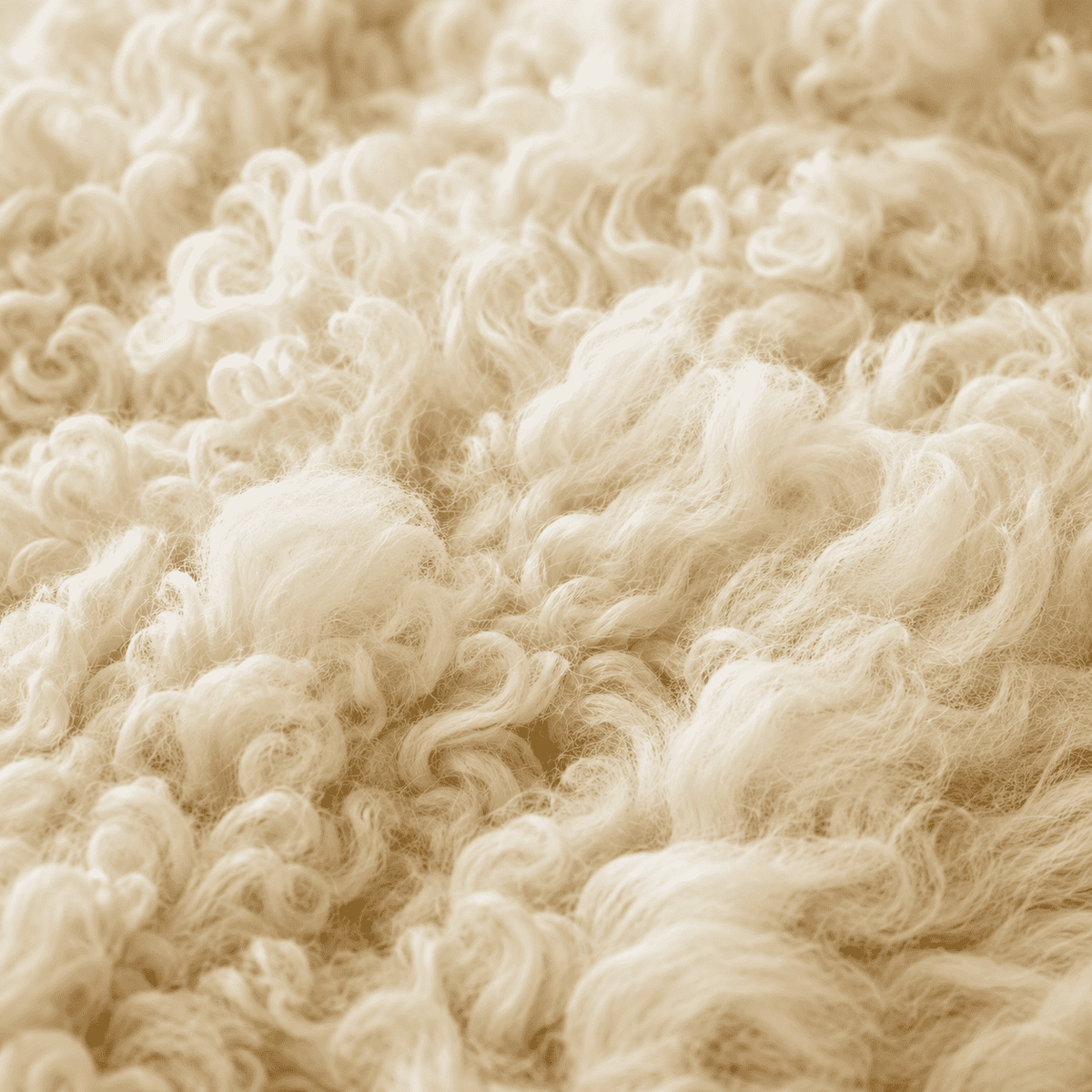 SHEEP SKIN RUG SR-115 36x27 INCH